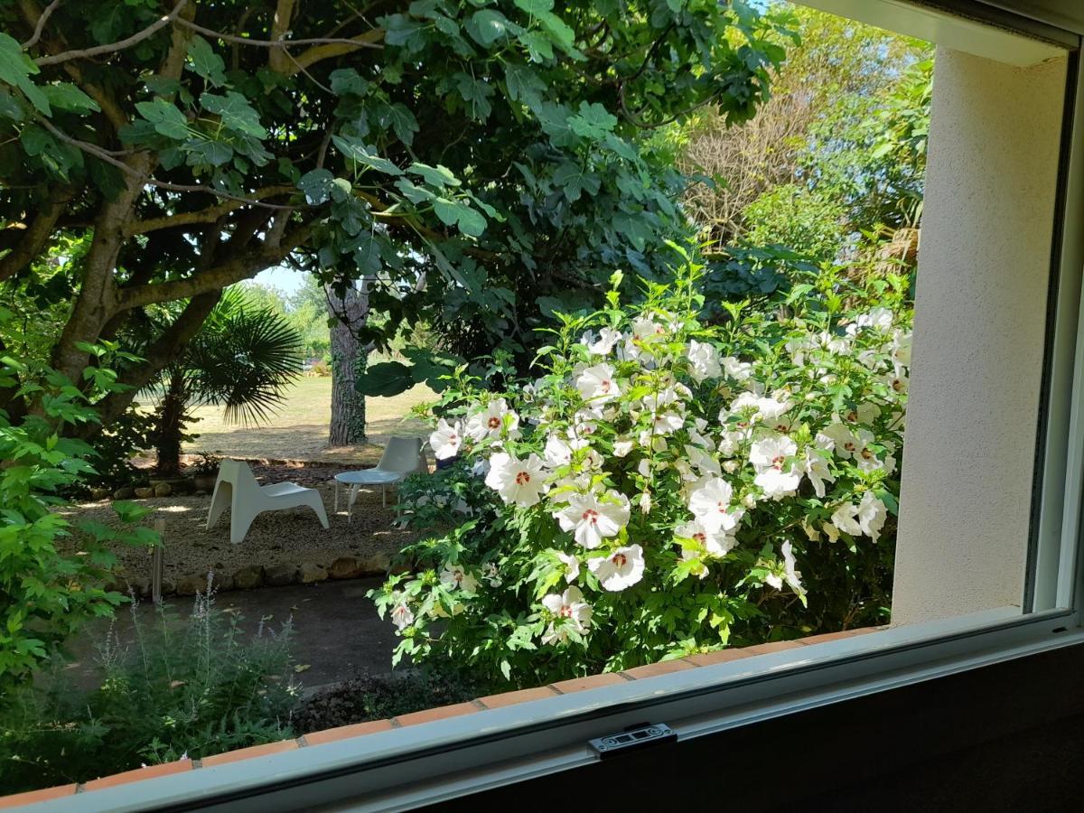 Villa Aigues Vives 博腾纳克 外观 照片