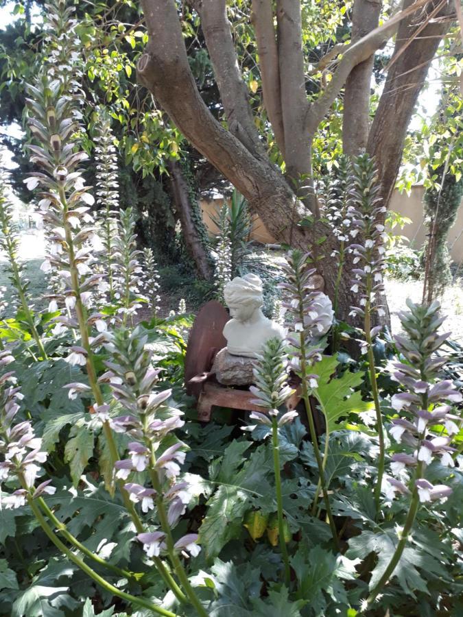 Villa Aigues Vives 博腾纳克 外观 照片
