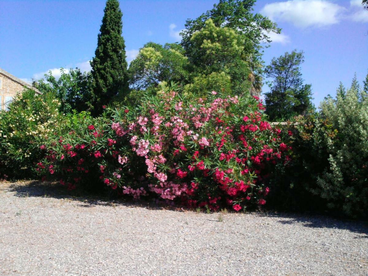 Villa Aigues Vives 博腾纳克 外观 照片